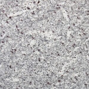 MOON WHITE POLISH /LEATHER